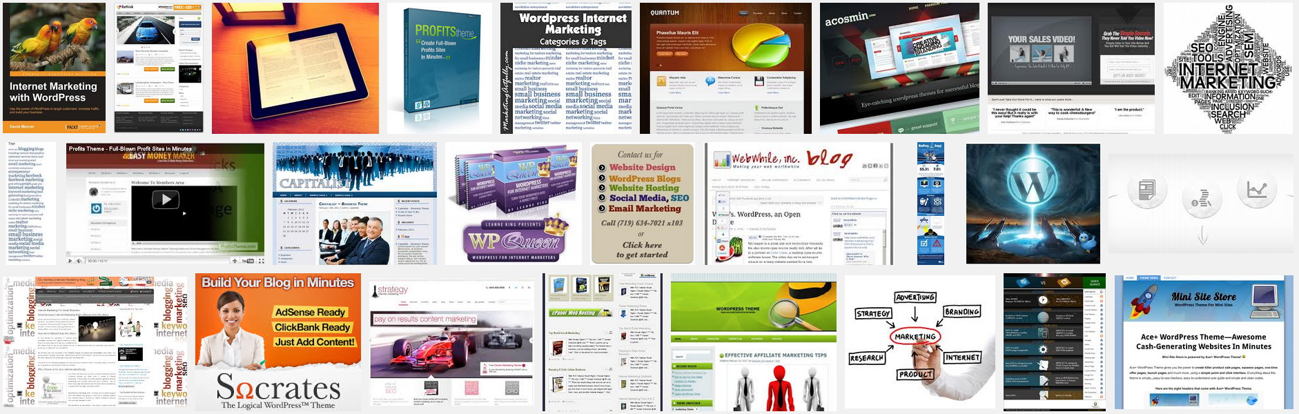 Internet Marketing with WordPress in 2014