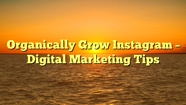 Organically Grow Instagram – Digital Marketing Tips