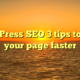 WordPress SEO 3 tips to rank your page faster