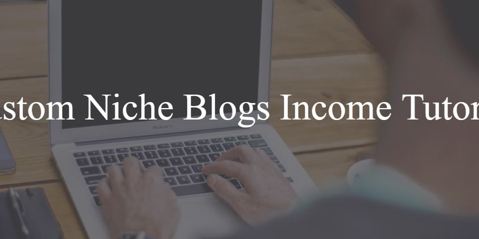 Custom Niche Blogs Income Tutorial