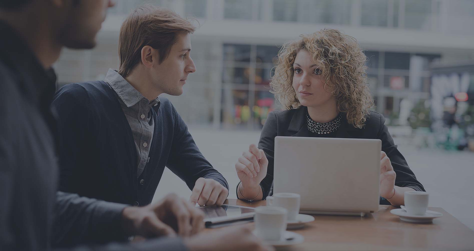 Expert wordpress developers